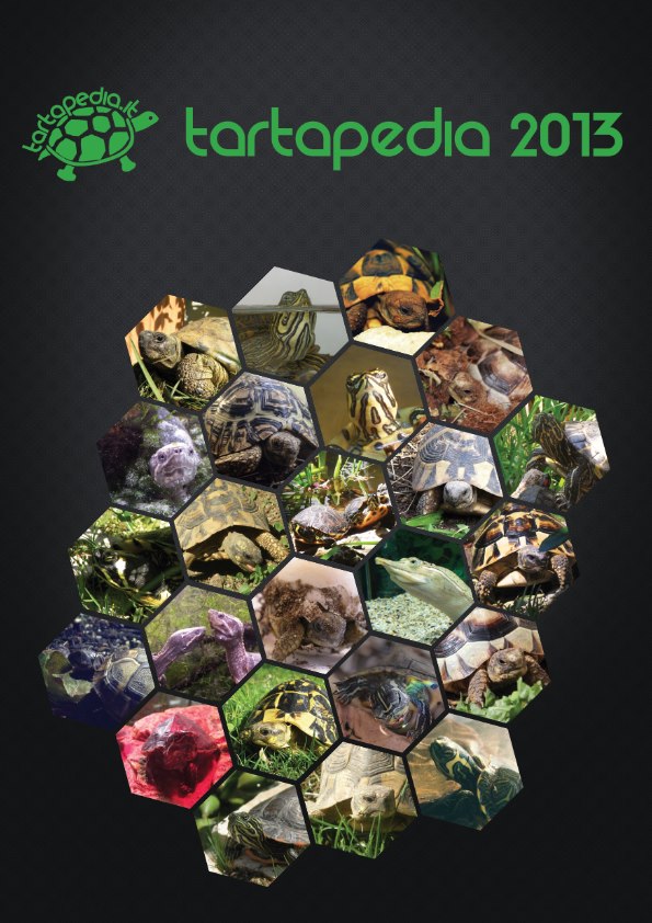 Copertina calendario Tartapedia 2013