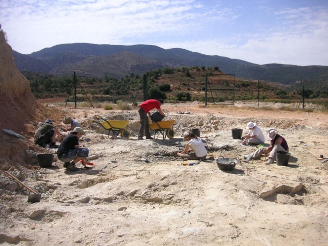 scavi Tartaruga di Riodeva all’ombra del gigante
