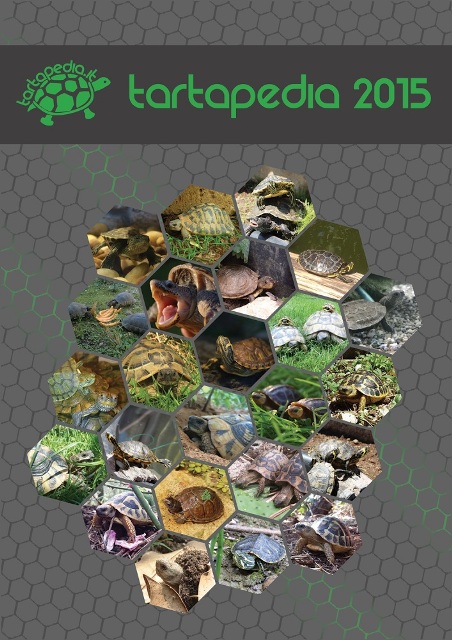 copertina calendario tartapedia 2015