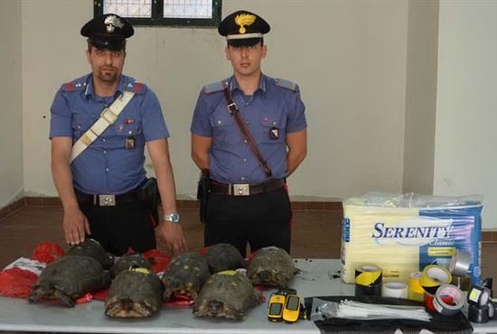 sardegna 30 tartarughe denunciati