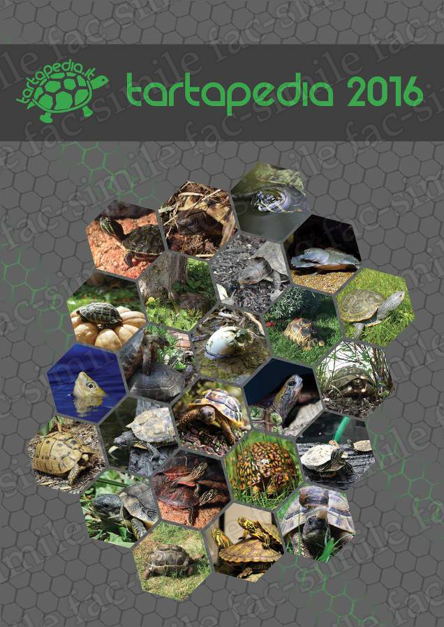fac-simile Copertina calendario tartapedia 2016