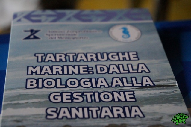 Conferenza ''Tartarughe marine - dalla biologia alla gestione sanitaria''-002