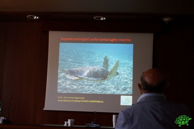 Conferenza ''Tartarughe marine - dalla biologia alla gestione sanitaria''-0041