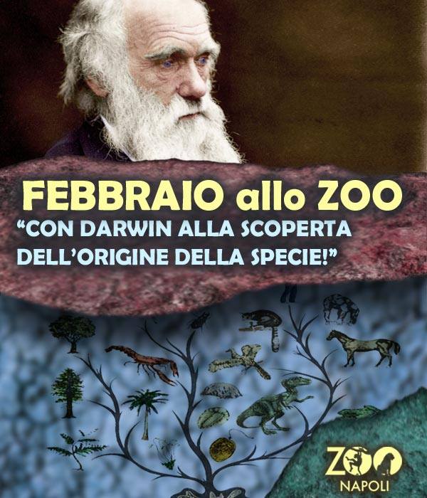 darwin zoo napoli