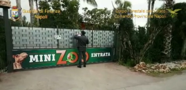 zoo sequestrato saviano