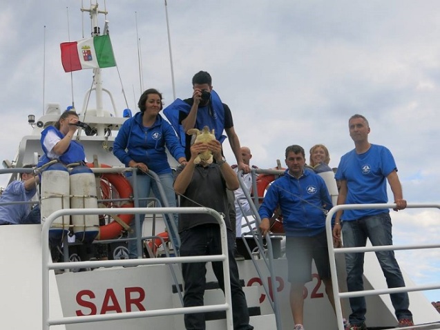 liberazione caretta pescara