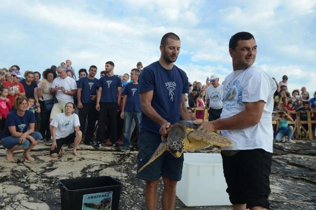 liberazione tartaruga a verudela