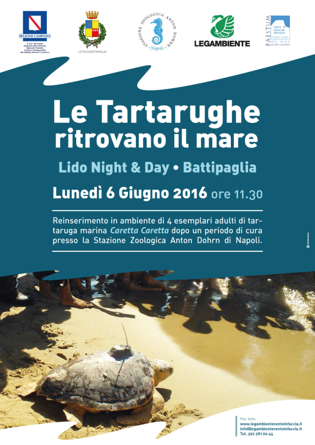 liberazione tartarughe anton dohrn battipaglia