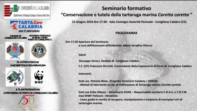 seminario tartarughe corigliano