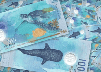 Maldive, la banconota più bella del mondo celebra anche le tartarughe marine