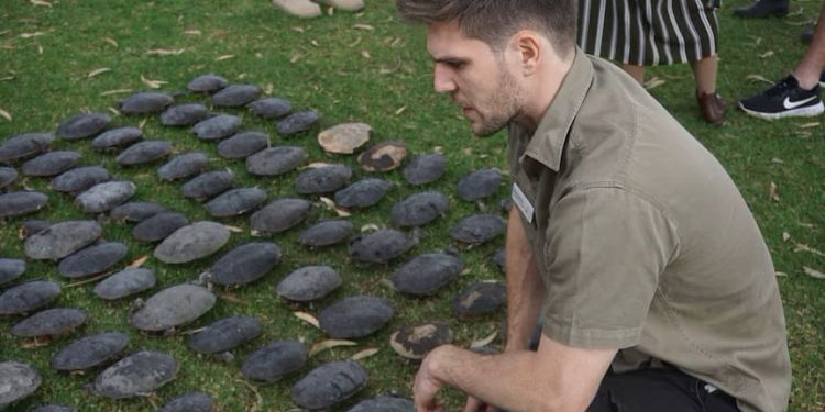 Il caldo da record e l’essiccazione delle zone umide hanno causato il decesso di centinaia di tartarughe d’acqua dolce australiane
