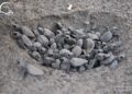 Record di nidificazioni in Liguria: 11 (+1) nidi di Caretta caretta nel 2025 e oltre 700 tartarughine nate