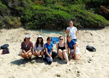 Cinque nuovi nidi in un giorno: la Campania accelera nella stagione delle tartarughe marine