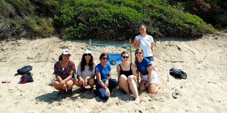 Cinque nuovi nidi in un giorno: la Campania accelera nella stagione delle tartarughe marine