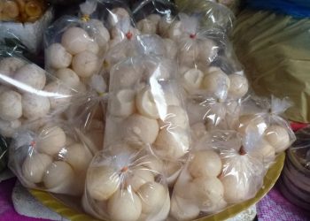 Commercianti di uova di tartaruga marina condannati a morte per omicidio, vengono graziati con “soli” 12 anni di detenzione