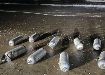 Detriti di un razzo SpaceX cadono sulla spiaggia di Baghdad in Messico: distrutti nidi della tartaruga di Kemp