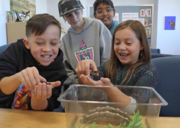 Studenti in prima linea: a Concord un progetto scolastico aiuta a salvare la tartaruga di Blanding