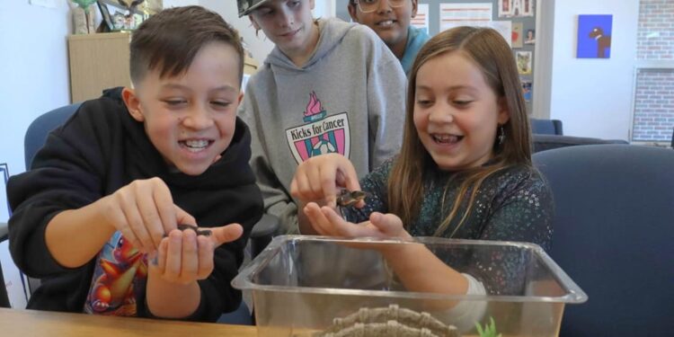 Studenti in prima linea: a Concord un progetto scolastico aiuta a salvare la tartaruga di Blanding