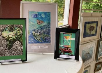 La mostra “La Tartaruga nell’Arte” va in vacanza, in attesa del ritorno ad Alessandria dopo l’estate