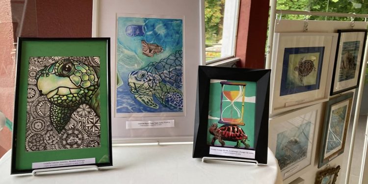 La mostra “La Tartaruga nell’Arte” va in vacanza, in attesa del ritorno ad Alessandria dopo l’estate