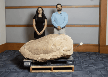 Una tartaruga liuto dall’Oligocene inferiore del Nord America e una nuova nomenclatura filogenetica per i Dermochelyidae