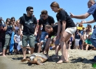 liberazione-caretta-battipaglia-06-06-16-047