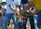 liberazione-caretta-battipaglia-06-06-16-053