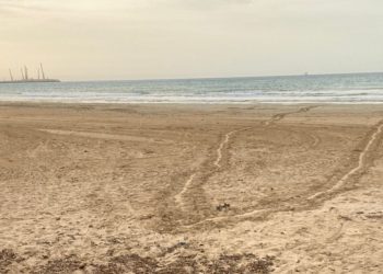 La Sicilia si prepara alla stagione delle tartarughe: prime tracce in provincia di Ragusa