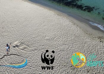 Prime due nidificazioni di tartaruga marina nel palermitano: Capaci e Mondello accolgono la Caretta caretta