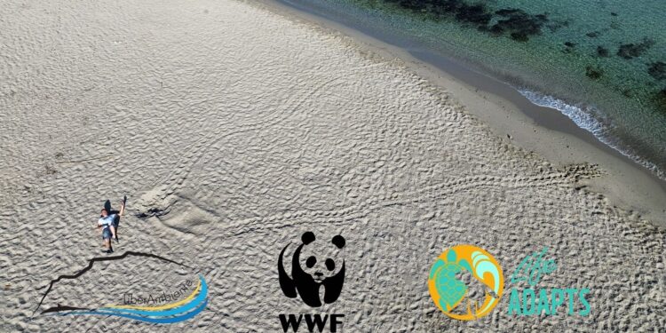 Prime due nidificazioni di tartaruga marina nel palermitano: Capaci e Mondello accolgono la Caretta caretta