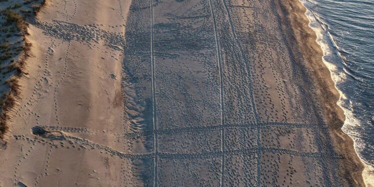 Dopo Lampedusa, è la Calabria a partire: a Brancaleone il primo nido della penisola italiana