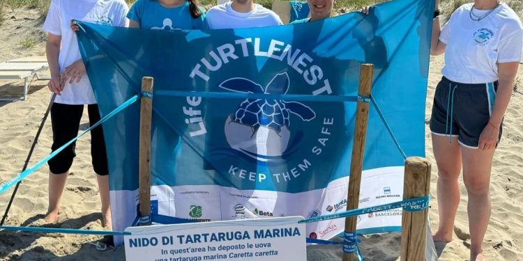 Primi due nidi di tartaruga marina del 2024 in Campania e ancora boom in Sicilia