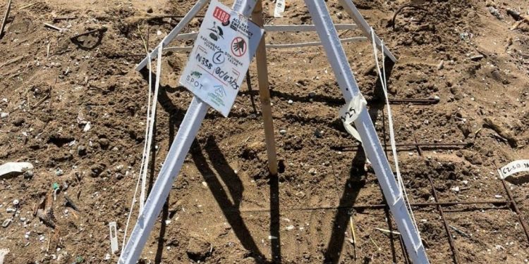 La stagione delle tartarughe marine inizia anche a Cipro con il primo nido di Caretta caretta