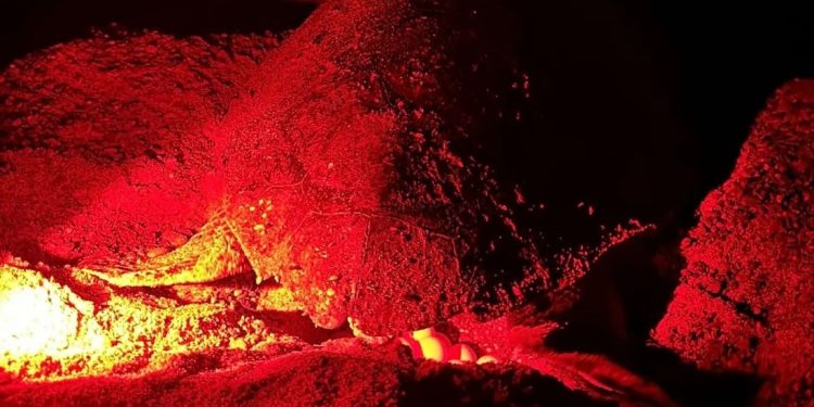 Battuto in Campania il record annuale di nidificazioni di Caretta caretta e la regione si conferma anche nel 2024 terza d’Italia