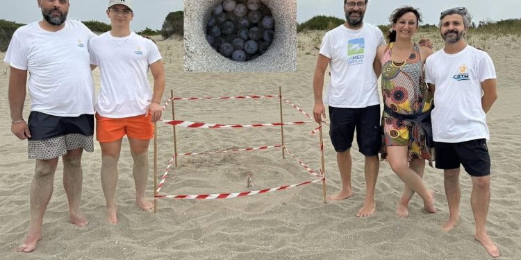Da tacco d’Italia a culla per le Caretta caretta: il Salento ospita già più di 40 nidi di tartaruga marina