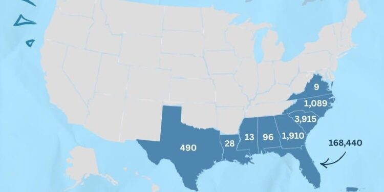 Record di nidificazioni di tartarughe marine nel Sud-Est USA: quando la conservazione funziona