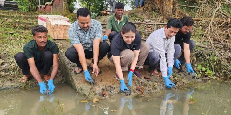 Assam: rilasciate oltre 100 tartarughe allevate in un tempio, un passo importante per la conservazione
