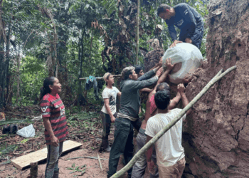 Scoperti per puro caso resti di tartarughe in urne millenarie: l’enigma dei riti funerari in Amazzonia
