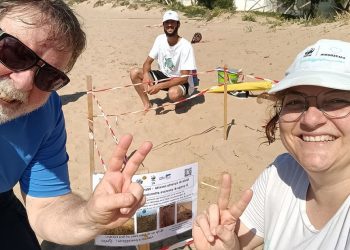 Individuato in appena tre giorni il secondo nido di tartaruga marina sulla costa sud orientale siciliana