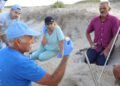 Tartaruga verde, seconda storica nidificazione in Tunisia: è il segnale di un cambiamento?