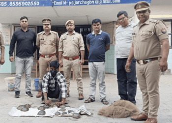 India, 16 tartarughe d’acqua dolce salvate dal traffico illegale: un mercato globale che continua a minacciare le specie