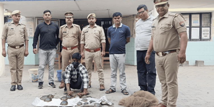 India, 16 tartarughe d’acqua dolce salvate dal traffico illegale: un mercato globale che continua a minacciare le specie