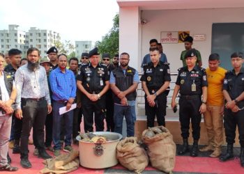 Oltre duecento tartarughe in via d’estinzione nascoste in quattro sacchi. Arrestati due cittadini bengalesi