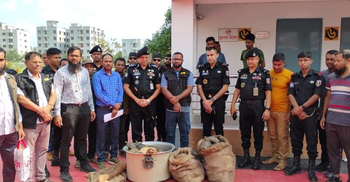 Oltre duecento tartarughe in via d’estinzione nascoste in quattro sacchi. Arrestati due cittadini bengalesi