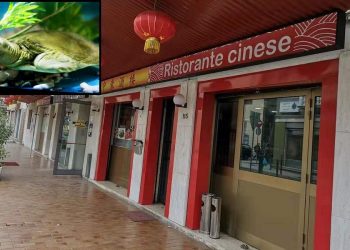 Chiuso un ristorante cinese a Venezia: serviva cibo mal conservato e persino carne di tartaruga in brodo