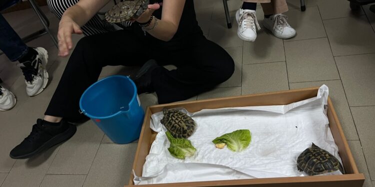 Le tartarughe protagoniste del progetto “Un mondo con gli animali” a Salemi (TP)
