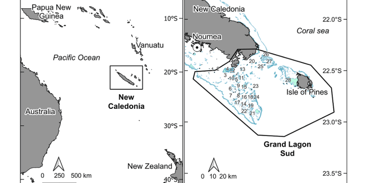 Un innovativo schema di monitoraggio adattato alle nidificazioni in aree remote e sparse rivela una grande colonia di Caretta caretta in Nuova Caledonia