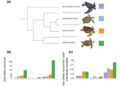 Major Histocompatibility Complex Immunogenetic Diversity Differs Substantially Across Sea Turtle Species and Genomic Regions 