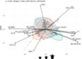From juveniles to adults: Ontogenetic and seasonal patterns of loggerhead turtles in oceanic Mediterranean habitats