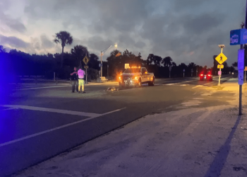 Tartaruga marina viene disorientata dai lampioni e dopo aver deposto, viene investita da un’auto in transito